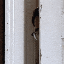 a person 's head is sticking out of a doorway