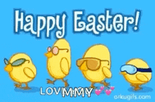a happy easter greeting card with chicks wearing sunglasses on a blue background