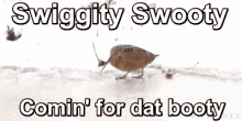 Booty Swiggity GIF - Booty Swiggity Swooty GIFs