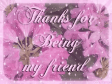 thanks friends thanks for being my friend