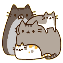 family cat