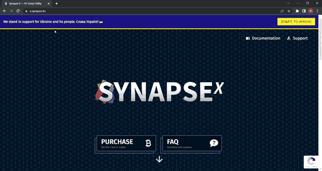 Synapse X Synapse X Theme GIF - Synapse X Synapse X Theme Synapse