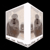 a cube with a picture of a rabbit and the words lettu outtel on the bottom
