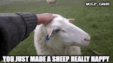 Made A Sheep Happy Wool GIF - Made A Sheep Happy Wool Woolish GIFs
