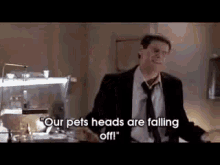 Our Pets Heads Are Falling Off GIFs | Tenor