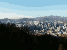 南山 City GIF