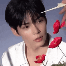 a close up of a person holding a comb over a man 's head surrounded by red flowers .