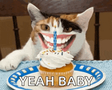 a cat with big teeth is eating a cupcake with a candle and says yeah baby