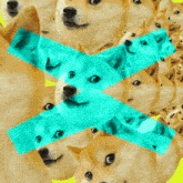 Doge Dogecoin GIF - Doge Dogecoin Much Wow GIFs