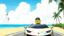 a cartoon character is driving a lamborghini huracan on a beach .