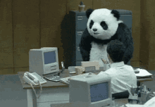Panda Angry GIF - Panda Angry Mad GIFs