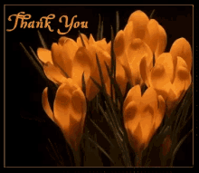 Thank You Thanks GIF - Thank You Thanks Flowers GIFs