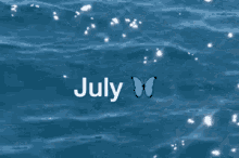 Butterfly July GIF - Butterfly July Water GIFs