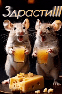two mice holding glasses of orange juice next to cheese