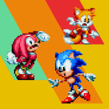Knuckles The Echidna Sonic GIF - Knuckles The Echidna Sonic Tail GIFs