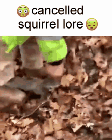 Cancelled Squirrel Lore Bite Leg GIF - Cancelled Squirrel Lore Bite Leg Funny GIFs