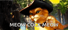 Puss Boots GIF - Puss Boots Cat GIFs