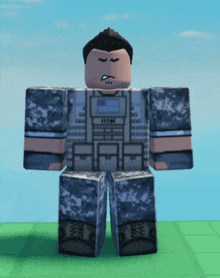 a man in a military uniform with a us air force vest