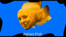 Adrian Fish Fish GIF - Adrian Fish Fish Swimming GIFs