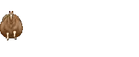 a sheep is standing on a white background