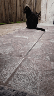 a black cat sits on a tiled floor