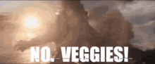 No Veggies GIF - No Veggies GIFs