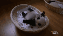 Lets Party Cute GIF - Lets Party Cute Panda GIFs