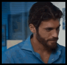 a close up of a man with a beard wearing a blue shirt