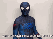 Nyxl Spiderman GIF