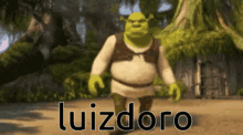 Luizdoro Angry GIF - Luizdoro Angry Shrek GIFs