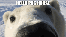 Pog House Pog GIF - Pog House Pog Epic GIFs