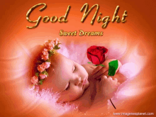 Good Night Sweet Dreams GIF - Good Night Sweet Dreams Baby GIFs