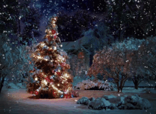 Xmas Tree Christmas Tree GIF - Xmas Tree Christmas Tree Snow Tree GIFs