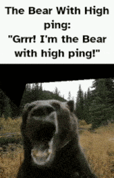 bear high ping jumpscare