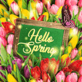 Hellospring Springtime GIF