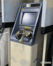 Cat Chill GIF - Cat Chill Dont Care GIFs