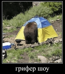 a bear is sticking its head out of a blue and yellow tent with russian writing on it
