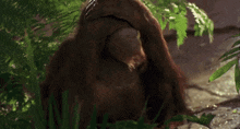 George Of The Jungle George Vs Lion GIF