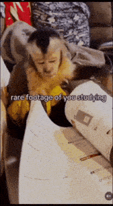 a monkey laying on top of a pile of books with the words rare footage of you studying below it