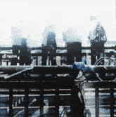 a group of people standing on a bridge with a sign that says tiktok @ rsp4