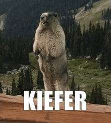 Kiefer GIF - Kiefer GIFs