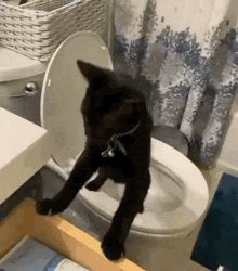 Mclaren Cat Black Cat GIF - Mclaren Cat Black Cat Jump GIFs
