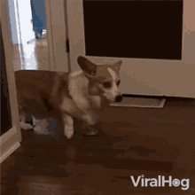 Backing Off Viralhog GIF - Backing Off Viralhog Getting Back GIFs