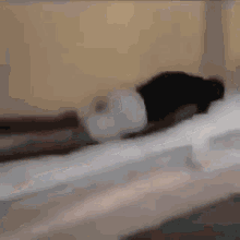 Hump Bed GIF - Hump Bed GIFs