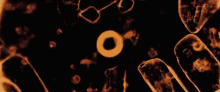 Orange Circles GIF - Orange Circles Hoops GIFs