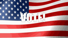 Vote Get Out And Vote GIF - Vote Get Out And Vote Usa GIFs