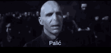 Voldemort Pali GIF - Voldemort Pali Palic GIFs