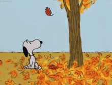 Snoopy Fall GIF - Snoopy Fall Falling Leaves GIFs