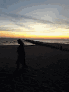 Ocean Sun GIF - Ocean Sun Wave GIFs