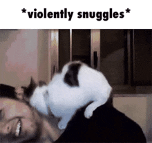 Cat Violence GIF - Cat Violence Snuggles GIFs